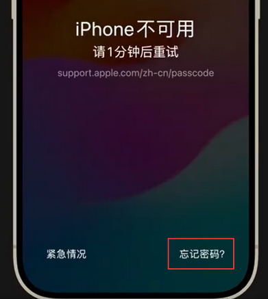 金乡苹果手机密码维修分享iPhone忘记了刚设置的密码 